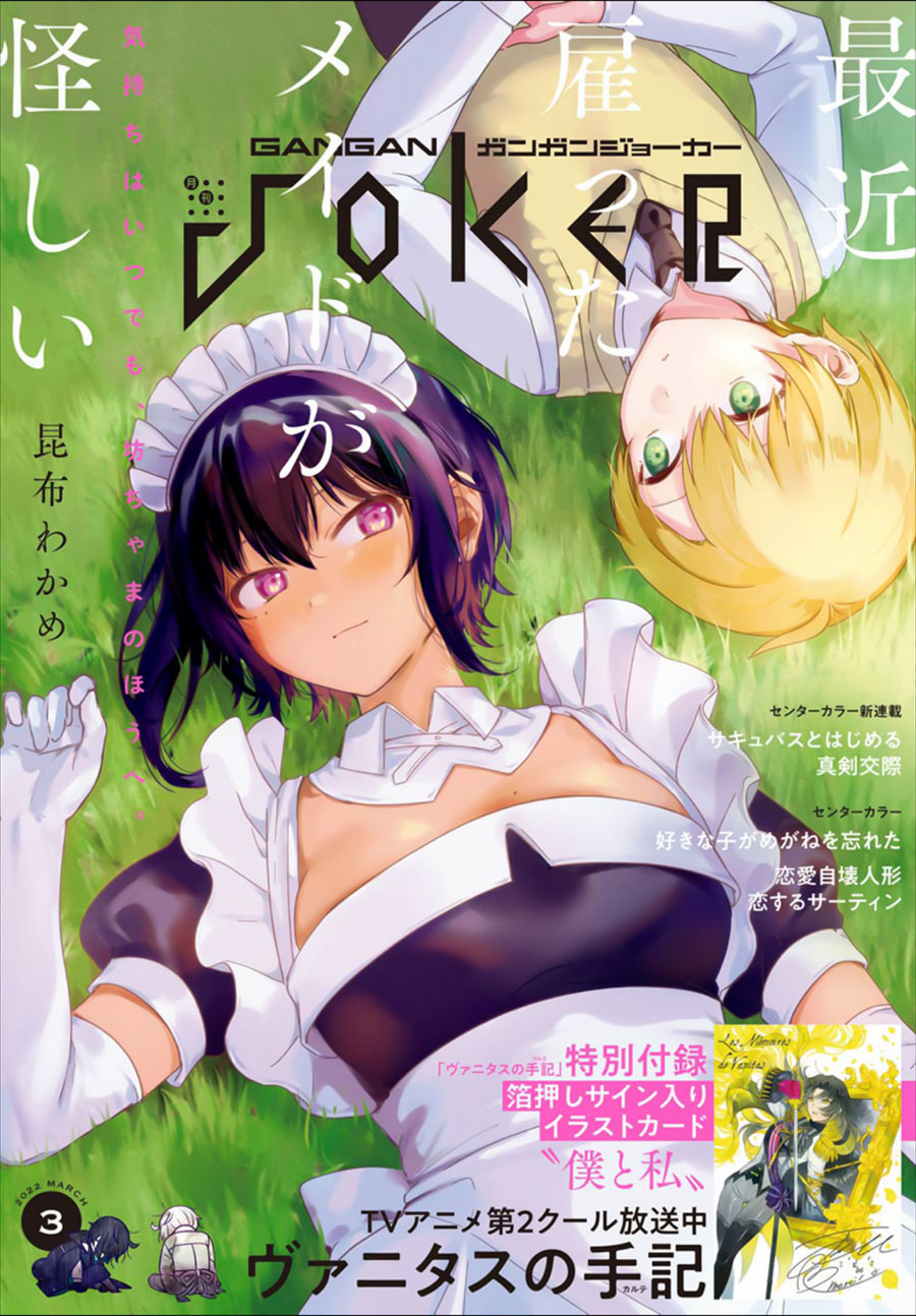 My Recently Hired Maid Is Suspicious (Serialization)